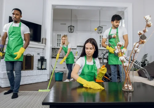 A group of cleaners carefully cleaning the living room.